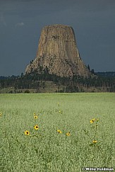 devilstowermerge071409 29855