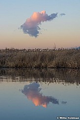 Lone Cloud Reflection