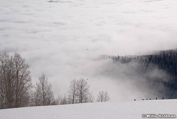 fog012810 0705