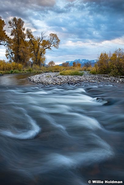 Provo River Cottonwoods 101917 4