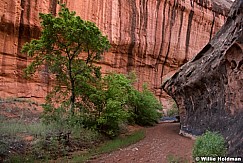 Escalante Side Canyon 060516 0859 2