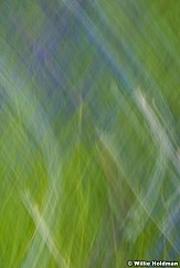 Naturesform062410 0896