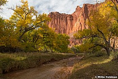 Fremont River Cottonwoods 101723 3134 2