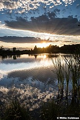 Lake Creek Pond 070616 3