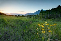 Cascademeadowsflowers061910