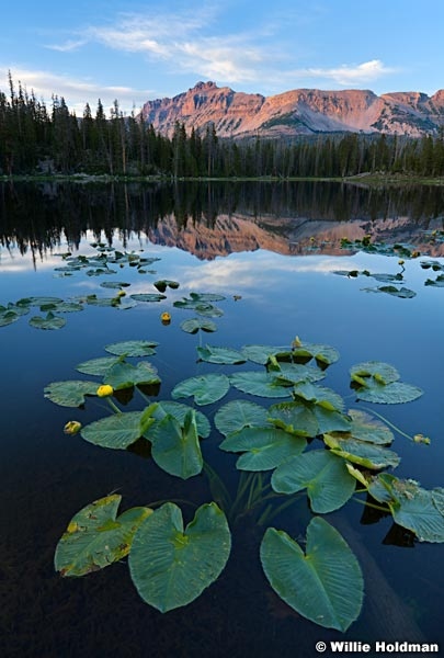 Hayden Peak 072613 2