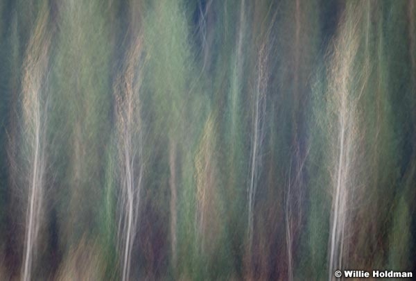 Abstractimpressions101510 6110