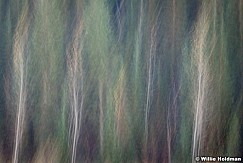 Abstractimpressions101510 6110