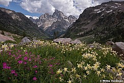 Cascade Mountain Wildfowers merge 082019 2107 2 2