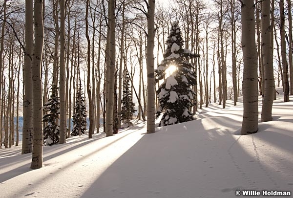 aspensnow013010 0229