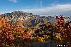 Cascade Oak 101216 3882