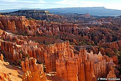 DBryce0045