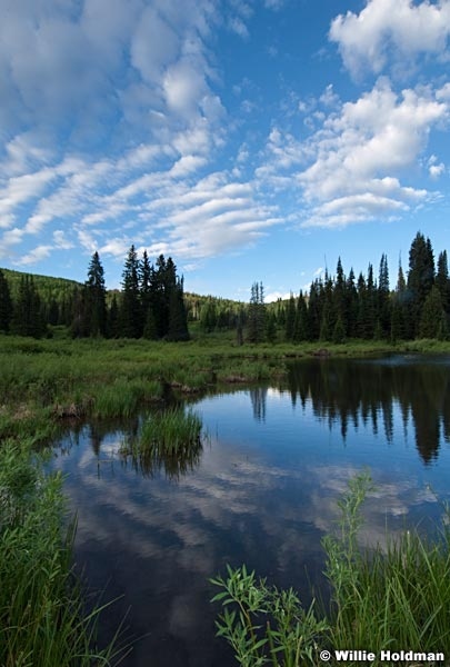 beaverpondclouds0070110 1345
