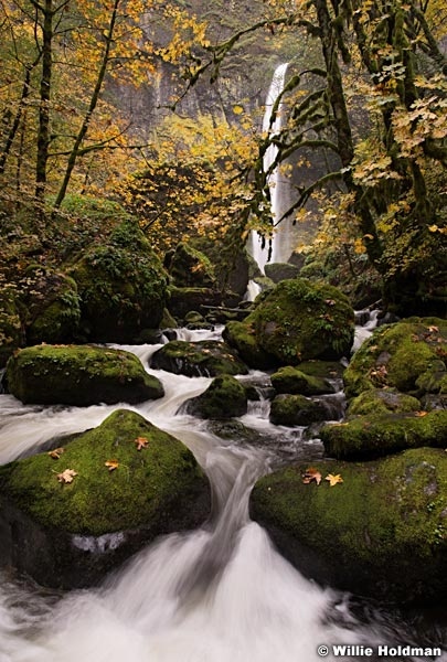 Latourell Falls 110514 3 2