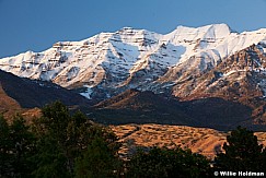 Timpanogossnowfall100911 241