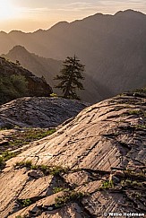 Lone Pine Shiny Rock 060618 0146 1 of 1