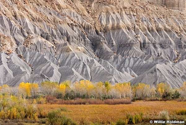 Cainville bandlans, Southern Utah