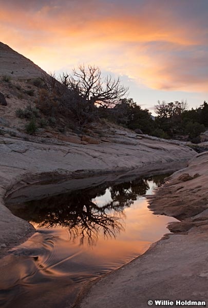 Boulder Creek F052113 4942