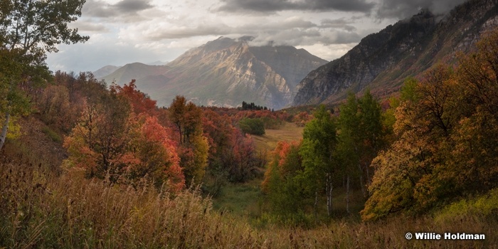 Timpanogos Cascade Meadows Mood