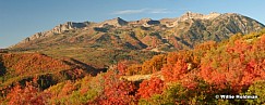Snowbasinautumn092207 pan