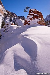 Zion Winter Snow 121013 3145