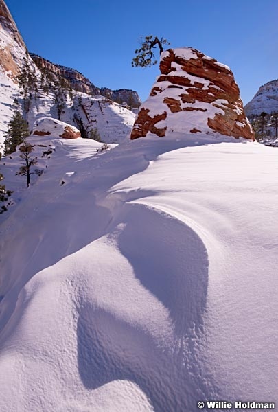 Zion Winter Snow 121013 3145