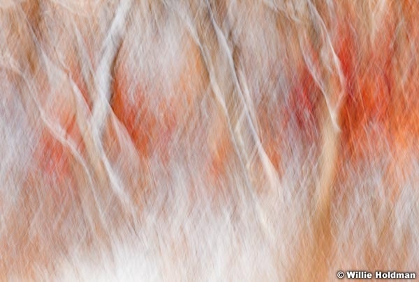 Abstractimpressions101510 7001