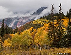 Aspens Box Elder 092512