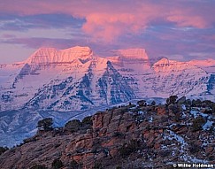 Timpanogos Pink Dress 6x7030218 3778