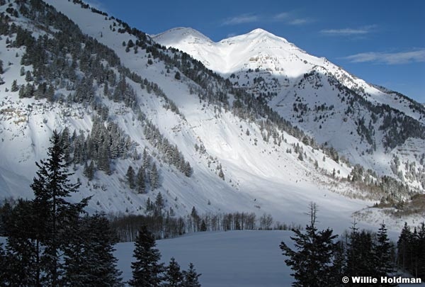 Timpanogoswinter020808498