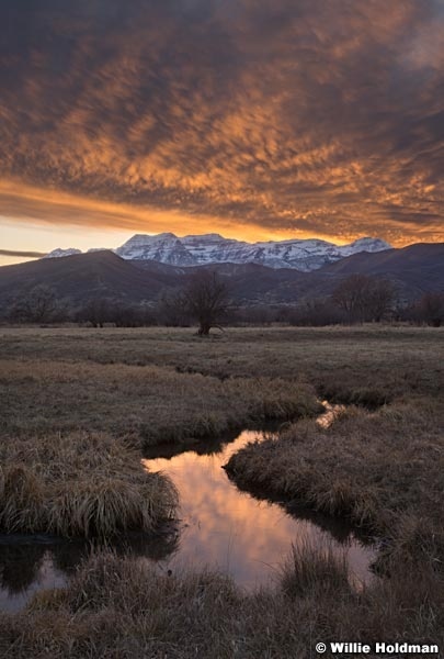 Meandering stream Heber Sunset 112020 4027 2