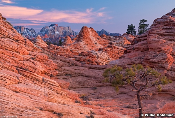 Zion West Temple Sunset 121919