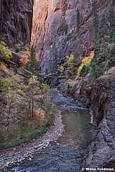 Zion Narrows 110619 4694 2