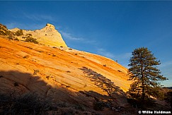 Sandstone Swirls Kanab 032012 168