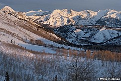 Wasatchrangehorseflat020210