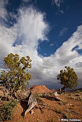 Capital Reef 051913 2669