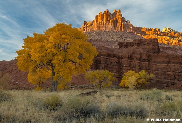 Capitol Reef Castle 111324 8677