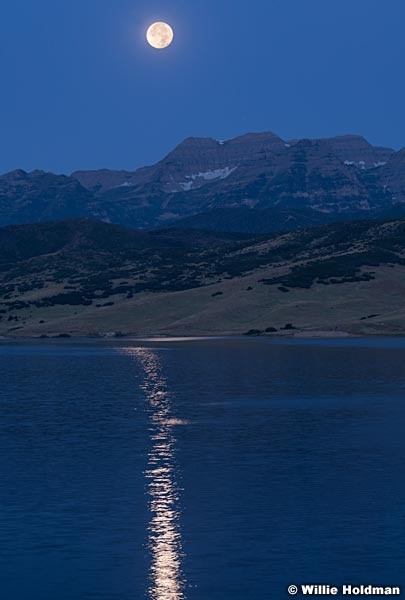 Full Moon Timp 081619 2