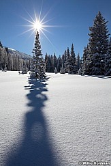 pinesunburst020711 202