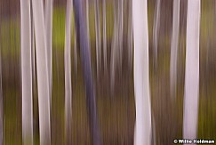 Aspen Abstract 051815 0811