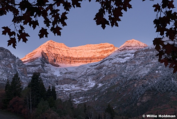 Timpanogos Snow Maples 092813 6583