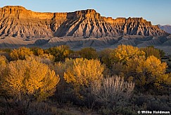 Cottonwood Badlands 102120 8552