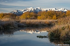 Timpanogos Cottonwoods Stream 103021 1143 1143