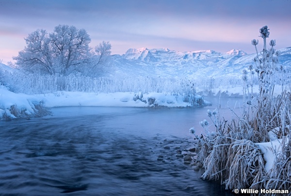 Timpanogos winter stream 012316 0638