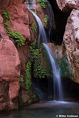 Elves Chasm Grand Canyon 040714 3877