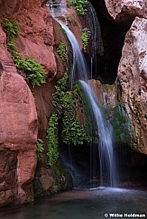 Elves Chasm Grand Canyon 040714 3877