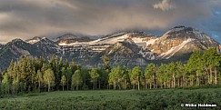 Timp Spring Greens Pano 060720