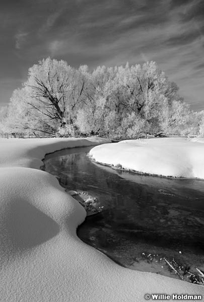 frostytreesstream022009 2068