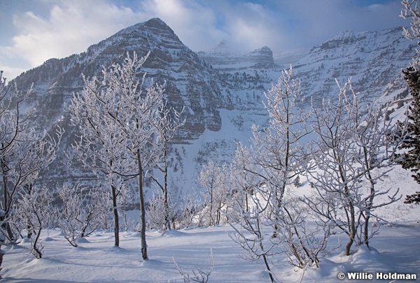 Timpanogos Frosty Trees 122915 7557