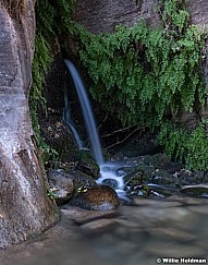 Zion Narrows Waterfall 110619 4708 3